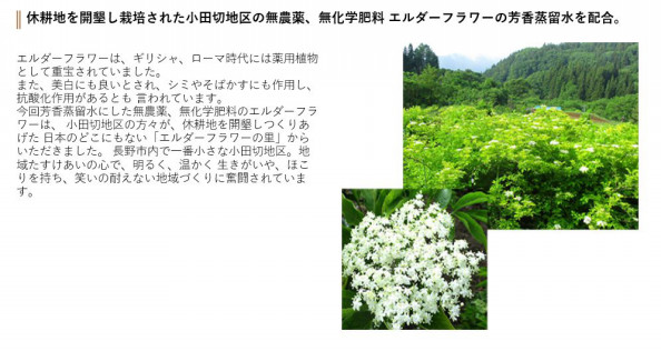 化粧品 エルダーフラワーの里 小田切 化粧品 エルダーフラワーの里 小田切