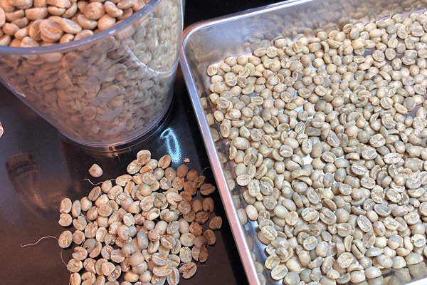 コーヒー生豆　約3. 6Kg ハンドピック済み コーヒー生豆 約3. 6Kg ハンドピック済み コーヒー生豆 約3. 6Kg