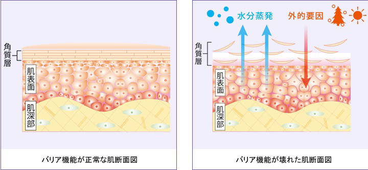 化粧水の前に Aを Olupono オルポノ鍼灸サロン