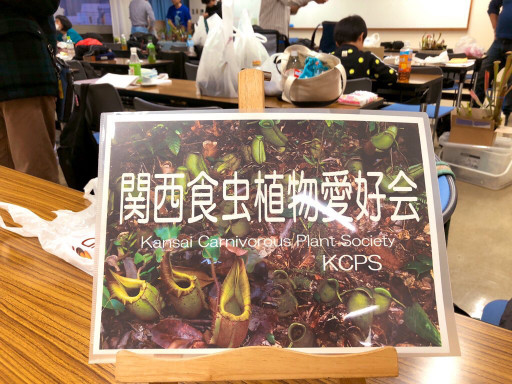 即売会 イベント 関西食虫植物愛好会