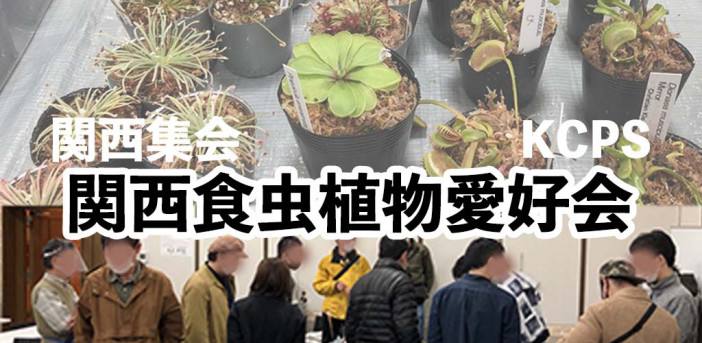 即売会 イベント 関西食虫植物愛好会