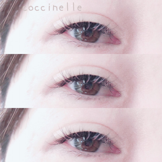 Nuance Color Coccinelle