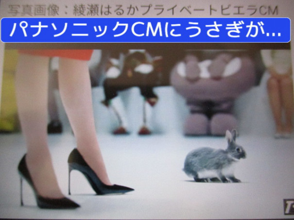 サタデーおはうさモーニング 11 26 Sat おはうさモーニング