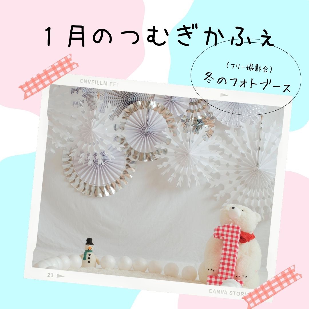 冬フォトブース 背景布 2枚 ペット撮影用フォトブース トリミング