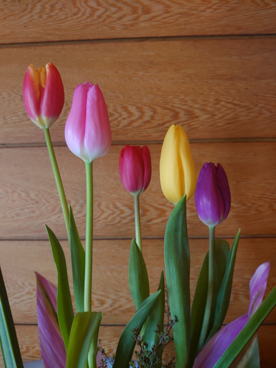 オンラインいけばな教室はじめます 由美花いけばな教室 Yumikaikebana