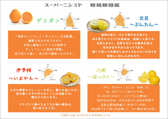 Pop作成 柑橘系図鑑 株式会社frey