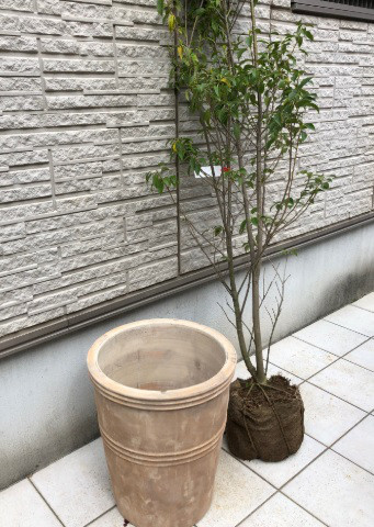 植木鉢の設置で簡単リフォーム 風のガーデン世田谷 横浜市 川崎市