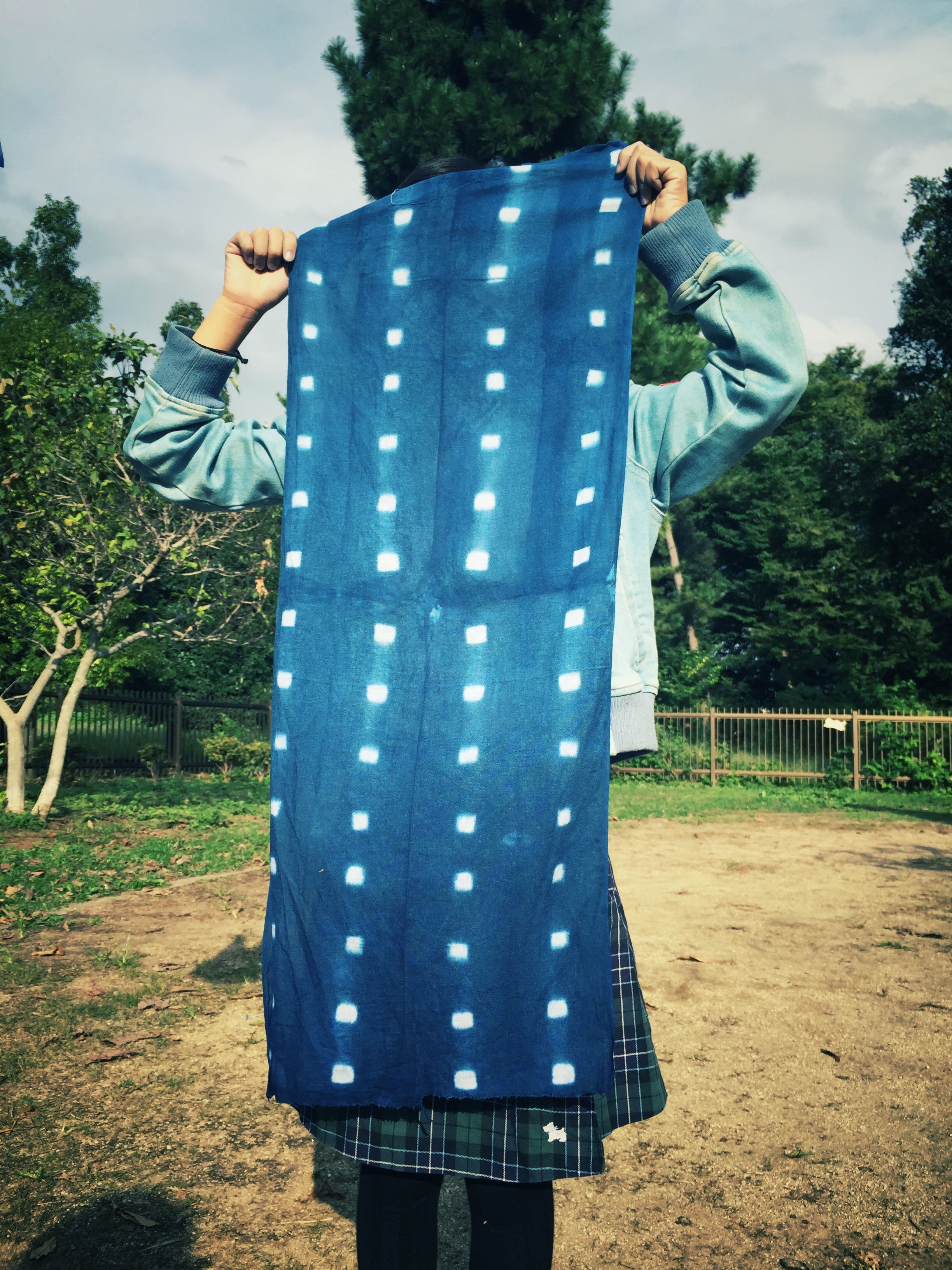 青は藍より出でて藍より青し」 | 草木の声を染める