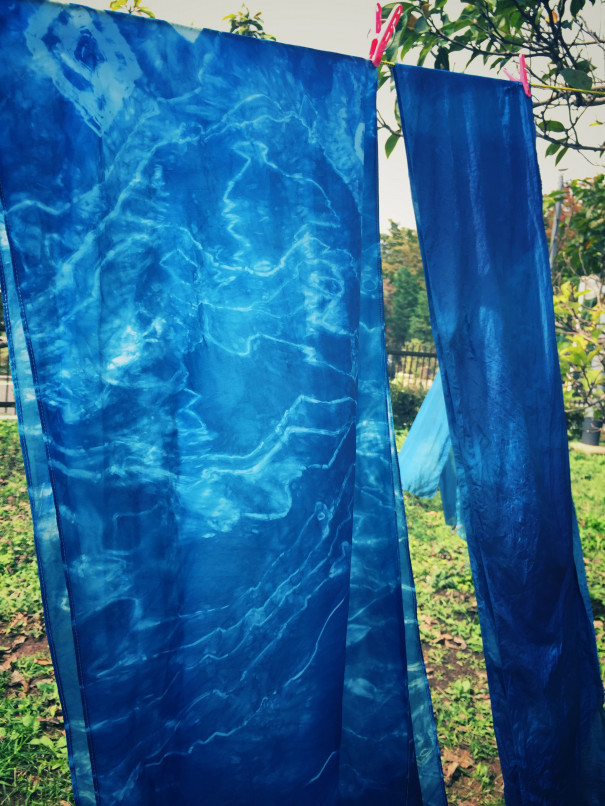 青は藍より出でて藍より青し 草木の声を染める