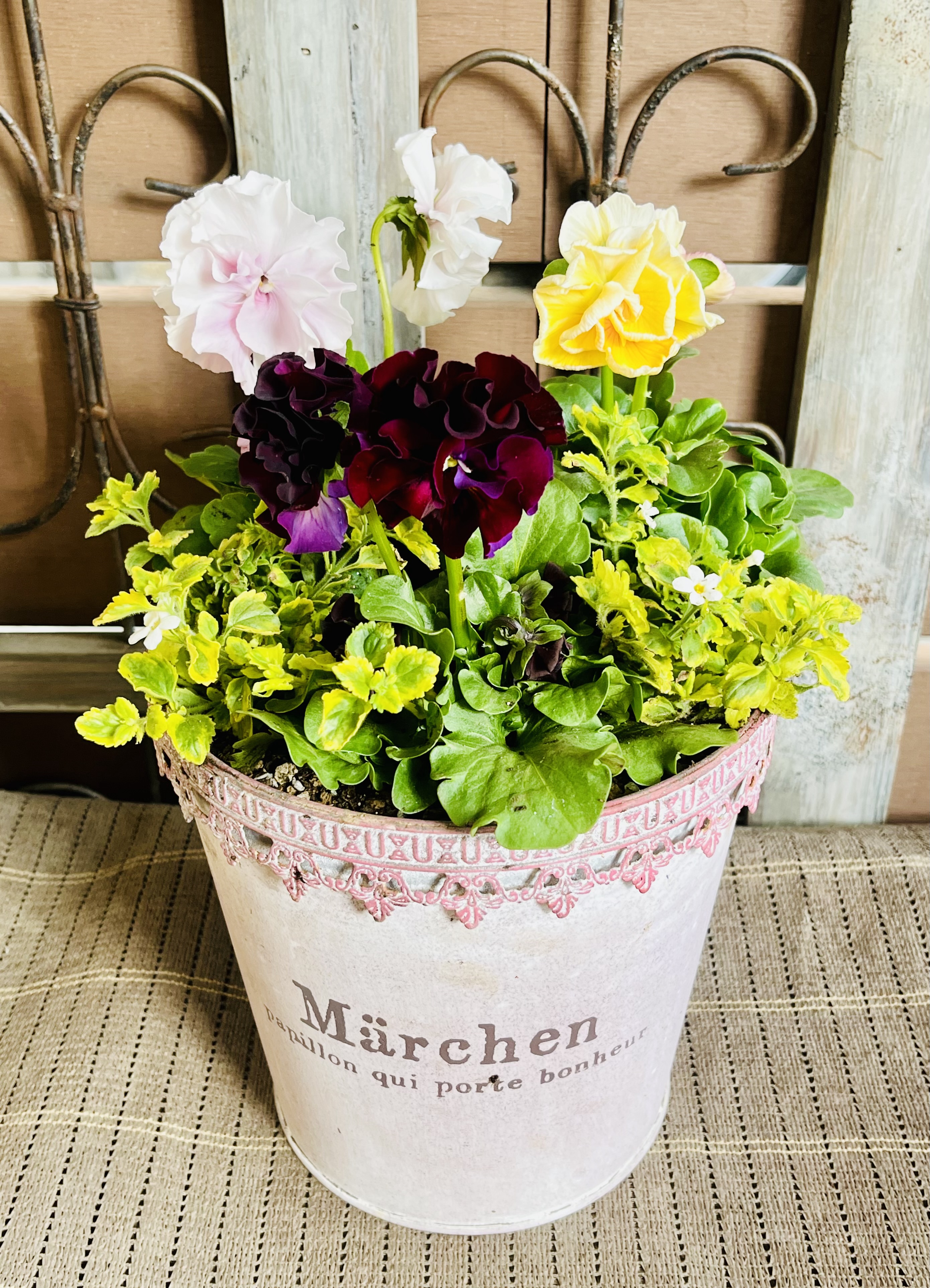 しのん's がーでん