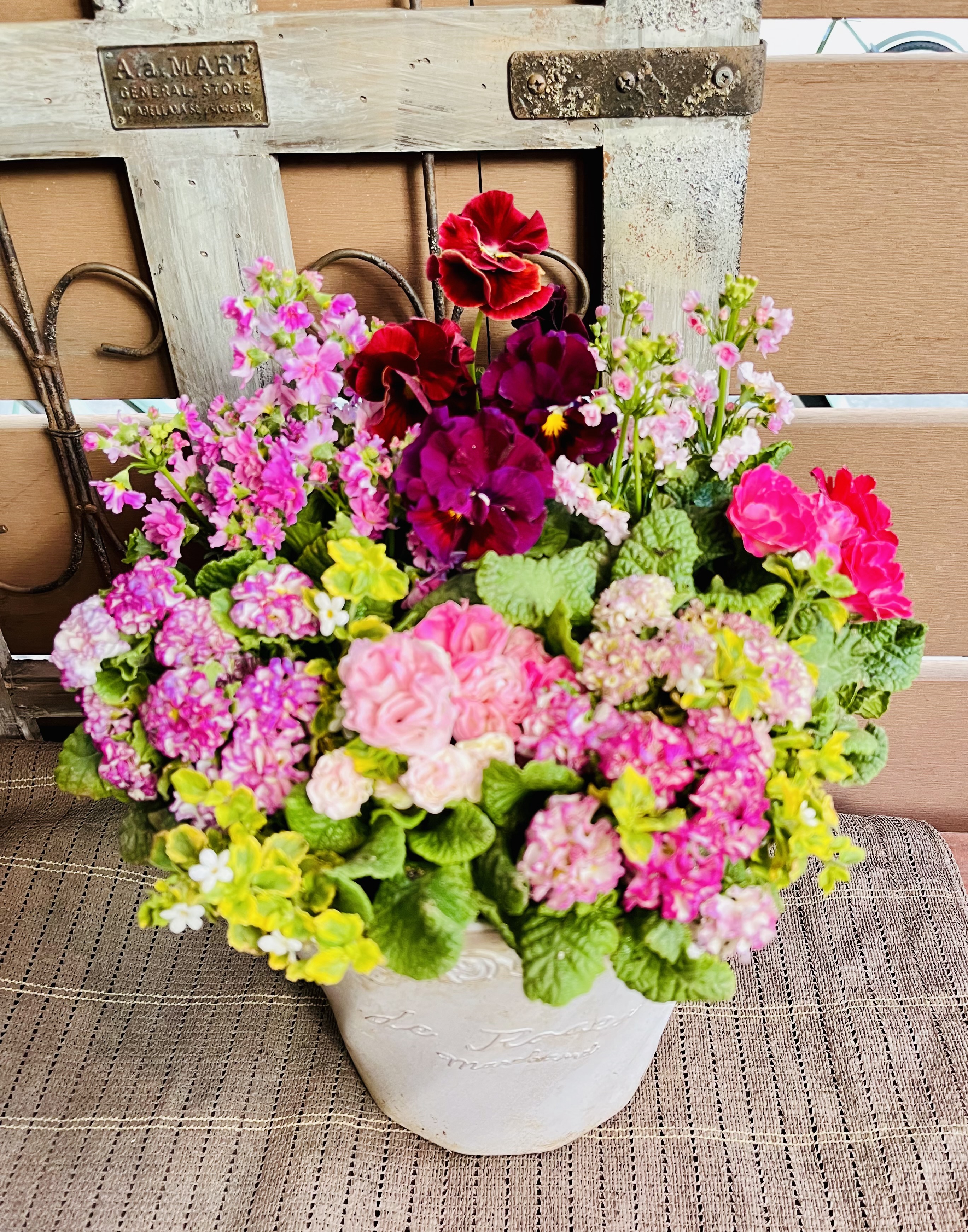 しのん's がーでん