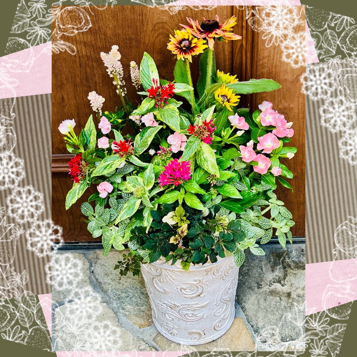 No.342 343　カネタロウ　寄せ植え　花 寄せ植え花 7101 - メルカリ