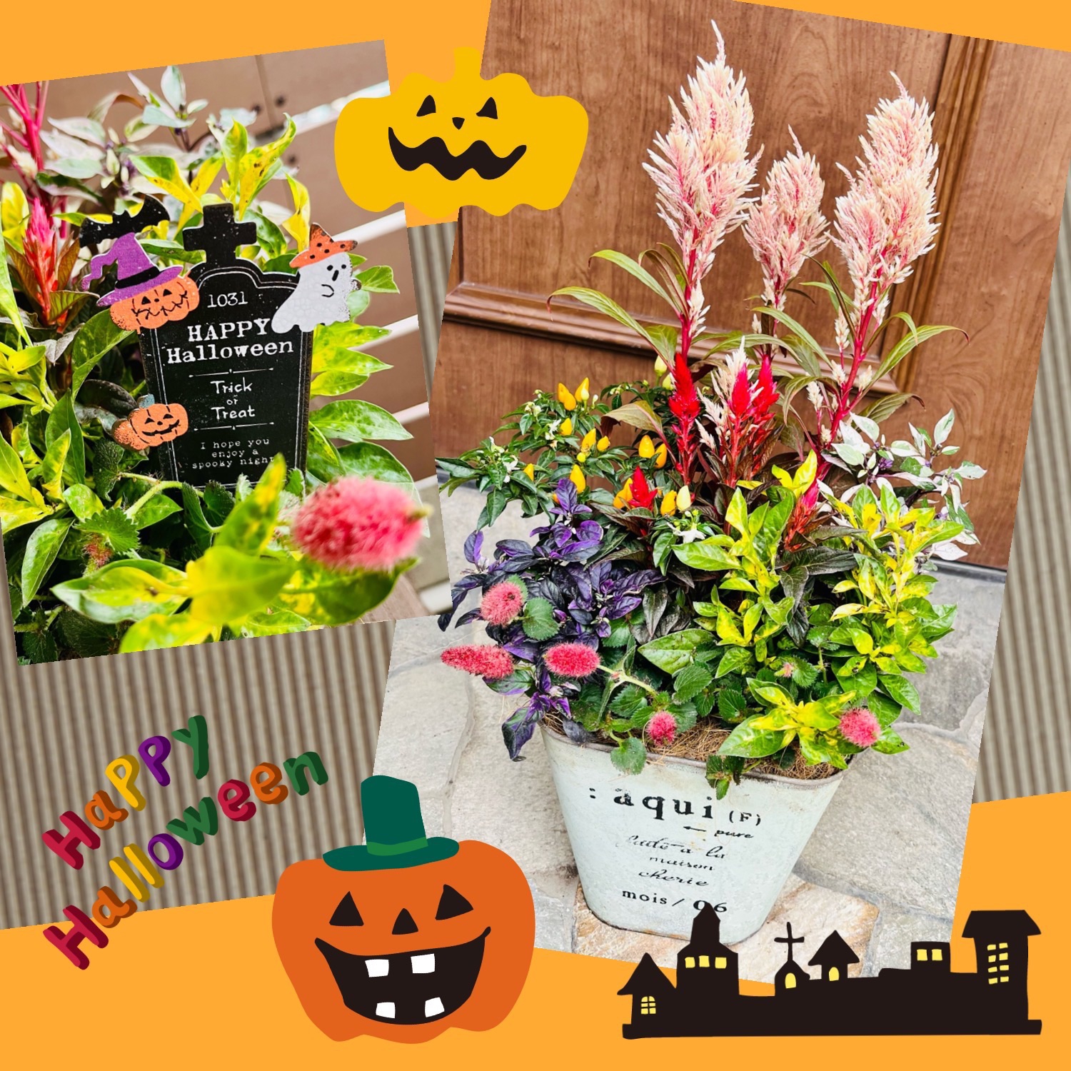 寄せ植え花　✩sayo様専用　確認用　ハロウィン ころぼっくる