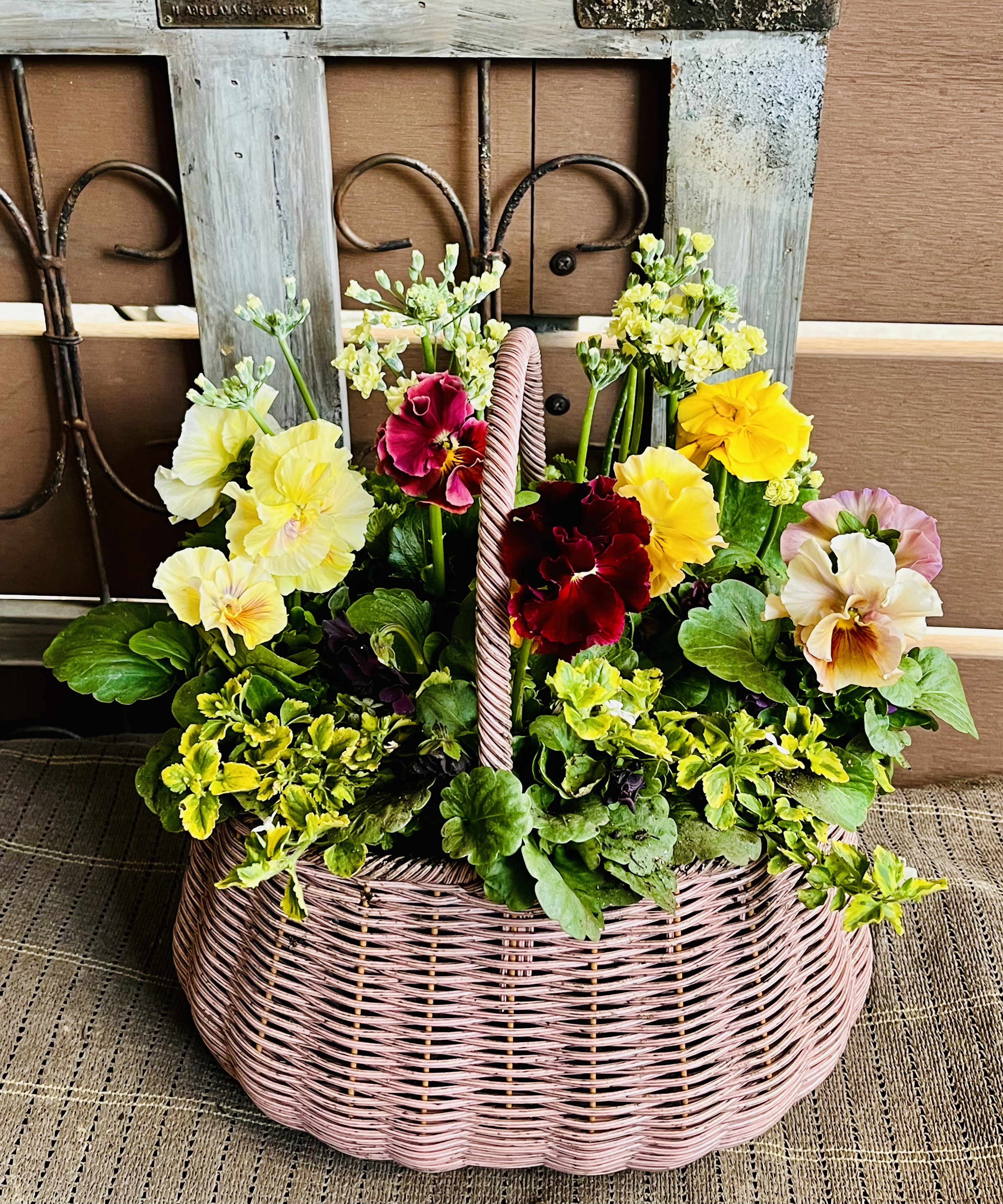 しのん's がーでん