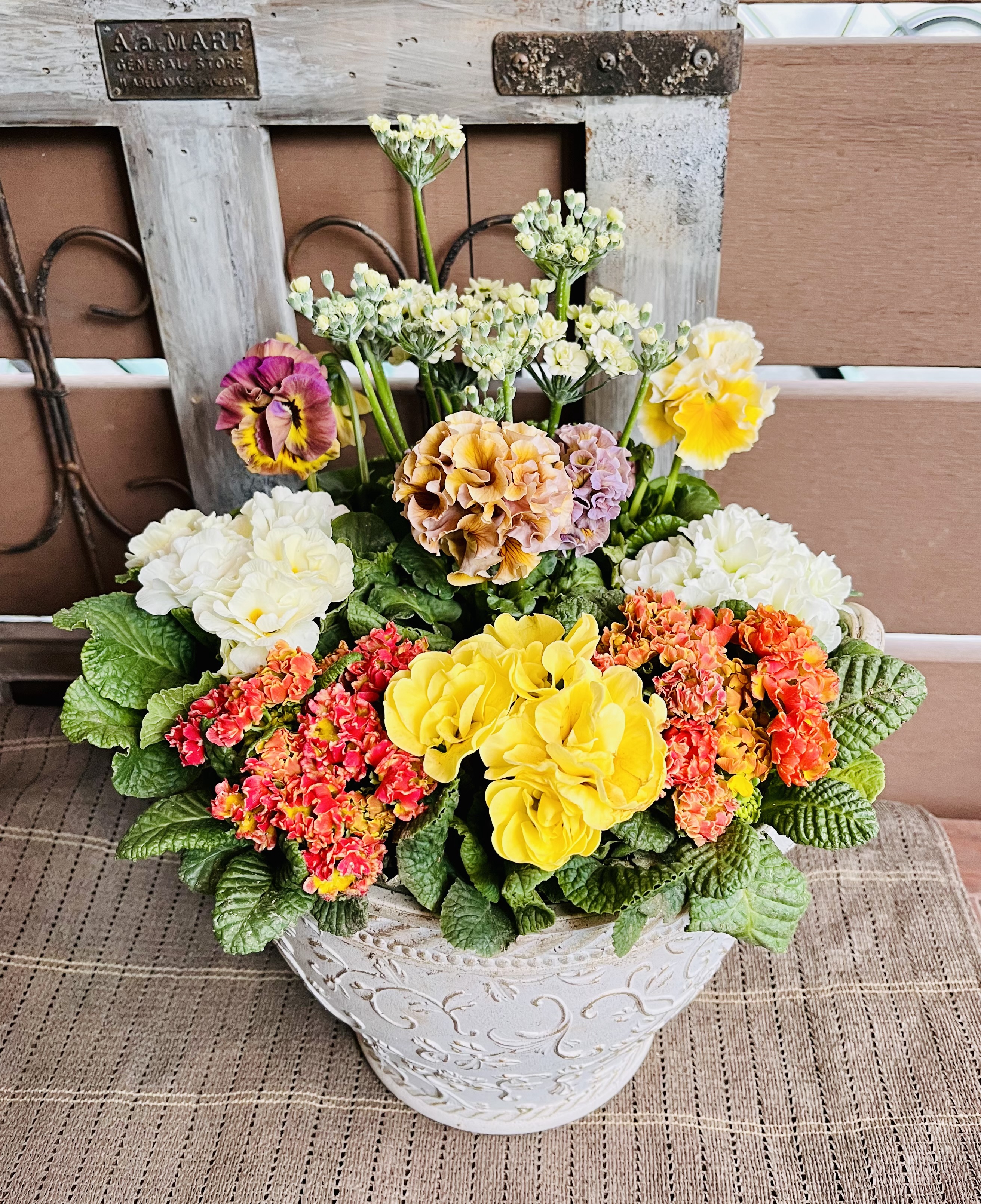 しのん's がーでん