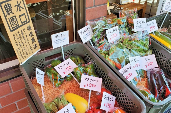 毎週日曜・月曜は新鮮野菜をどうぞ | 四季の企画室 野の 福田商店