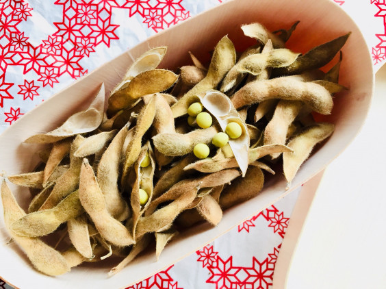 今年も自家採種できました Love Seeds Vegetables 今年も自家採種できました Love Seeds Vegetables