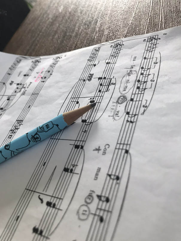 苦手な事を受け入れて楽しむ 声音seion 歌は心を癒す