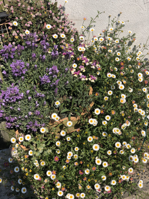 Blog ページ4 Prettyflower プリティフラワー 北九州市戸畑区のお花屋さん