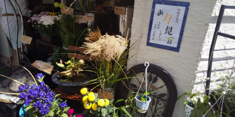 花屋 つくし 花屋 つくし