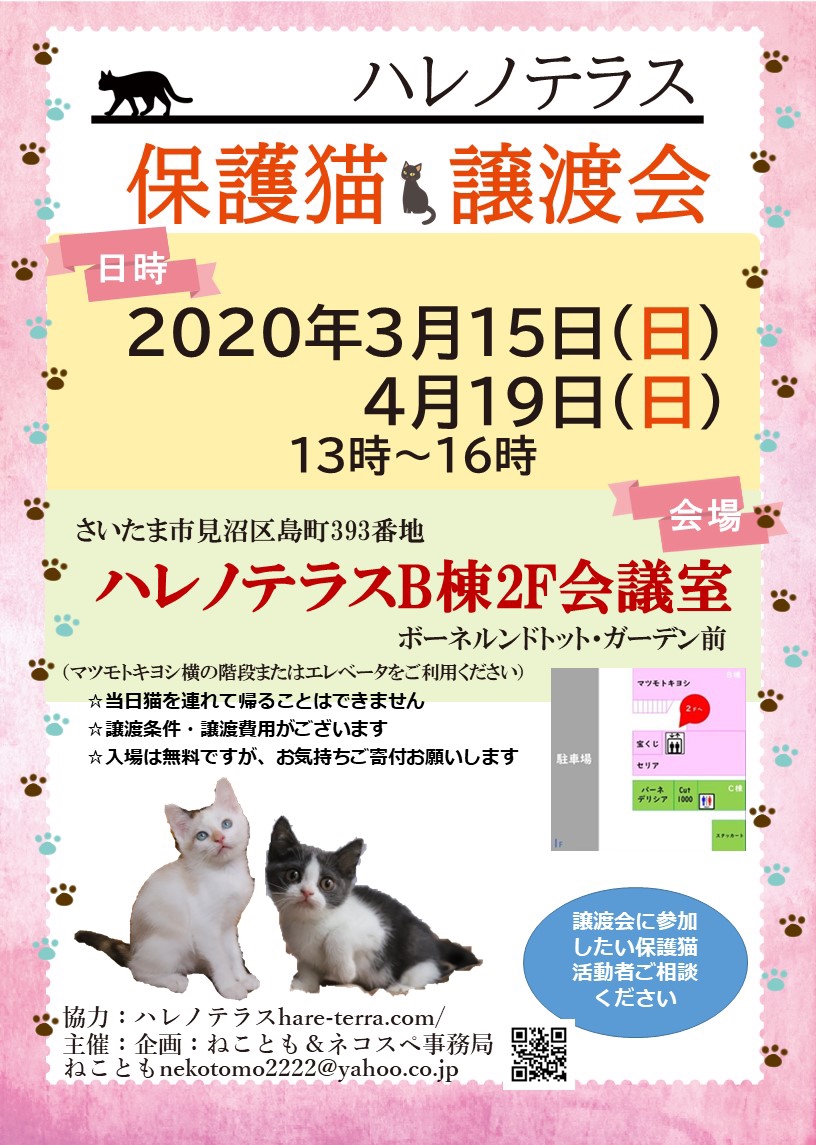 4/19(日)ハレノテラス保護猫譲渡会 Withねこ