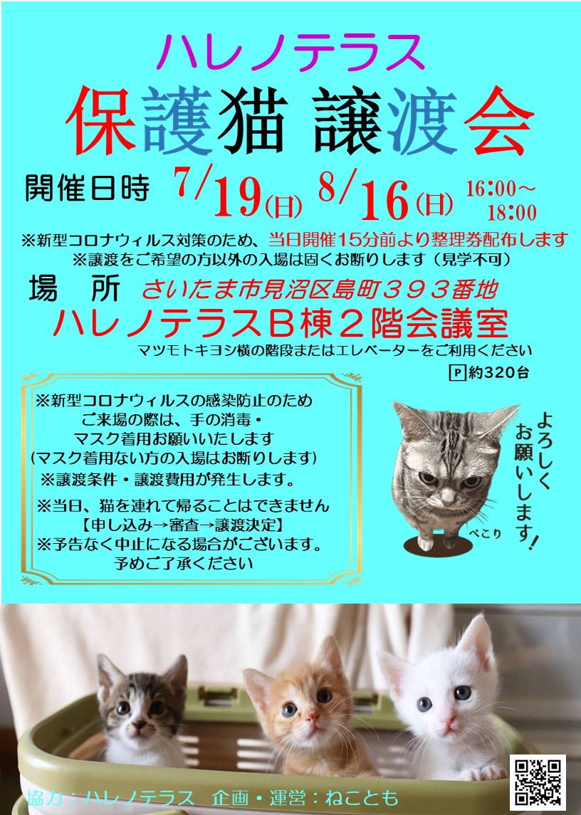 ７ １９ 日 ８ １６ 日 ハレノテラス保護猫譲渡会 Withねこ