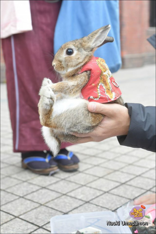 うさぎちゃん抱っこ Kaori Apparel