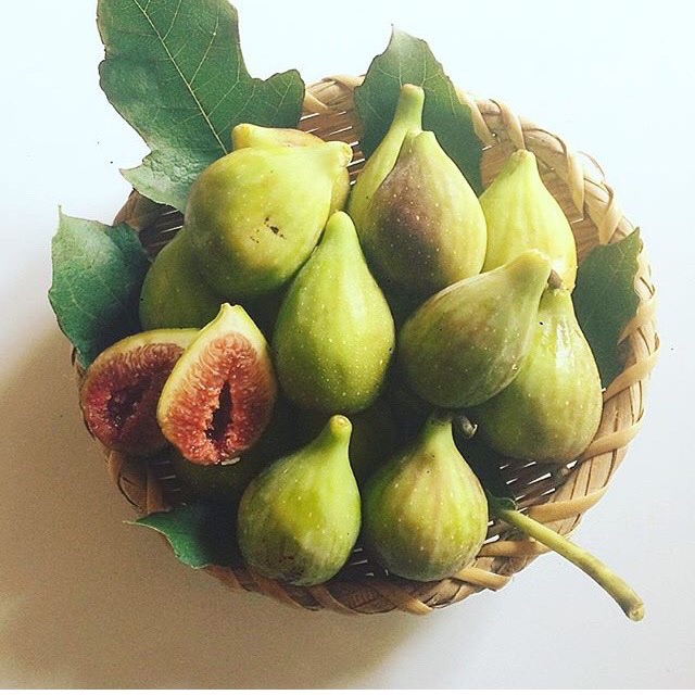 green-heart 津久井白いちじく農園