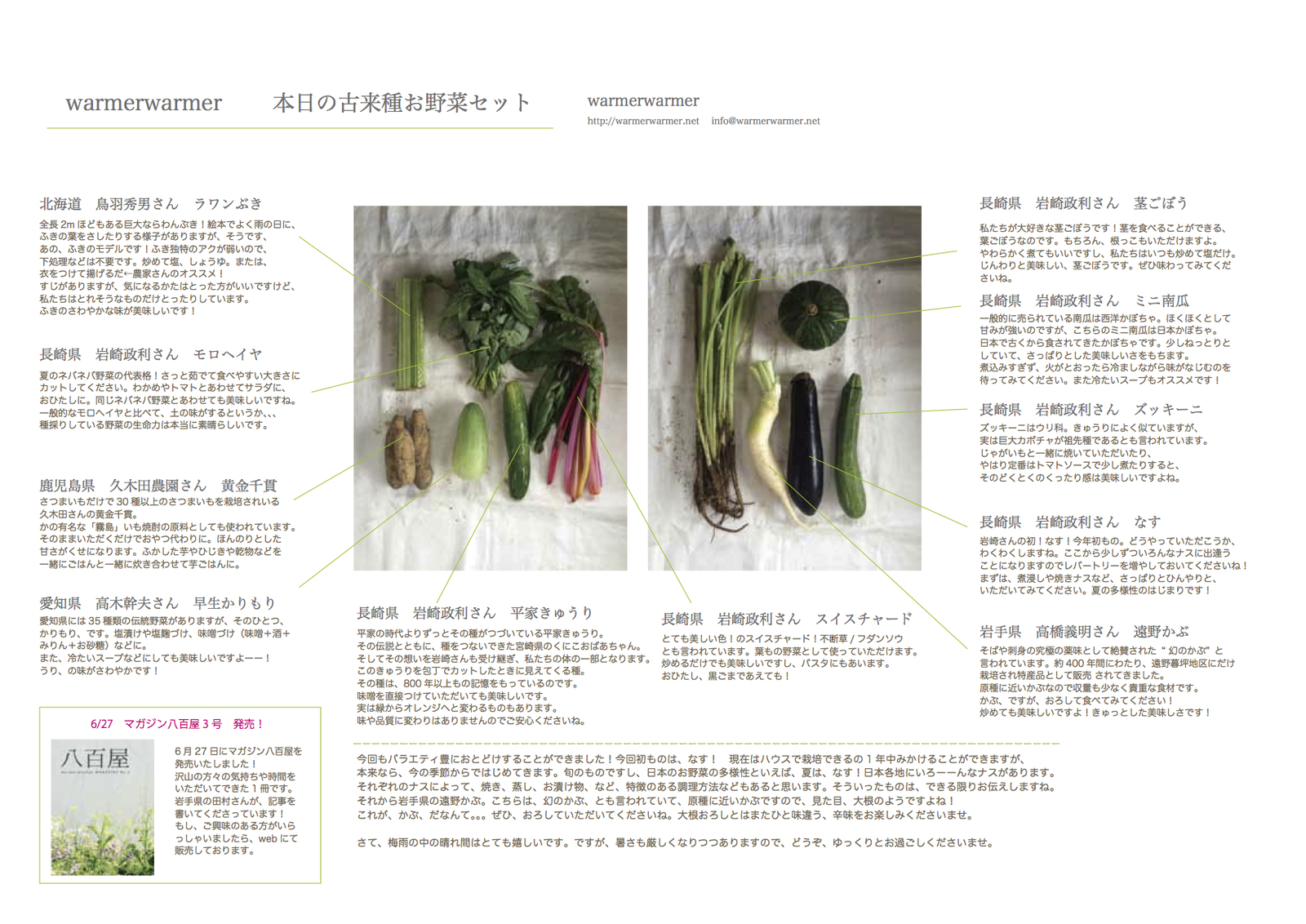 6月27日 本日のお野菜セット Warmerwarmer