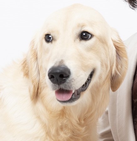 母 モナ | プレジールケンネル