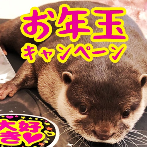 カワウソと遊ぼ otter33