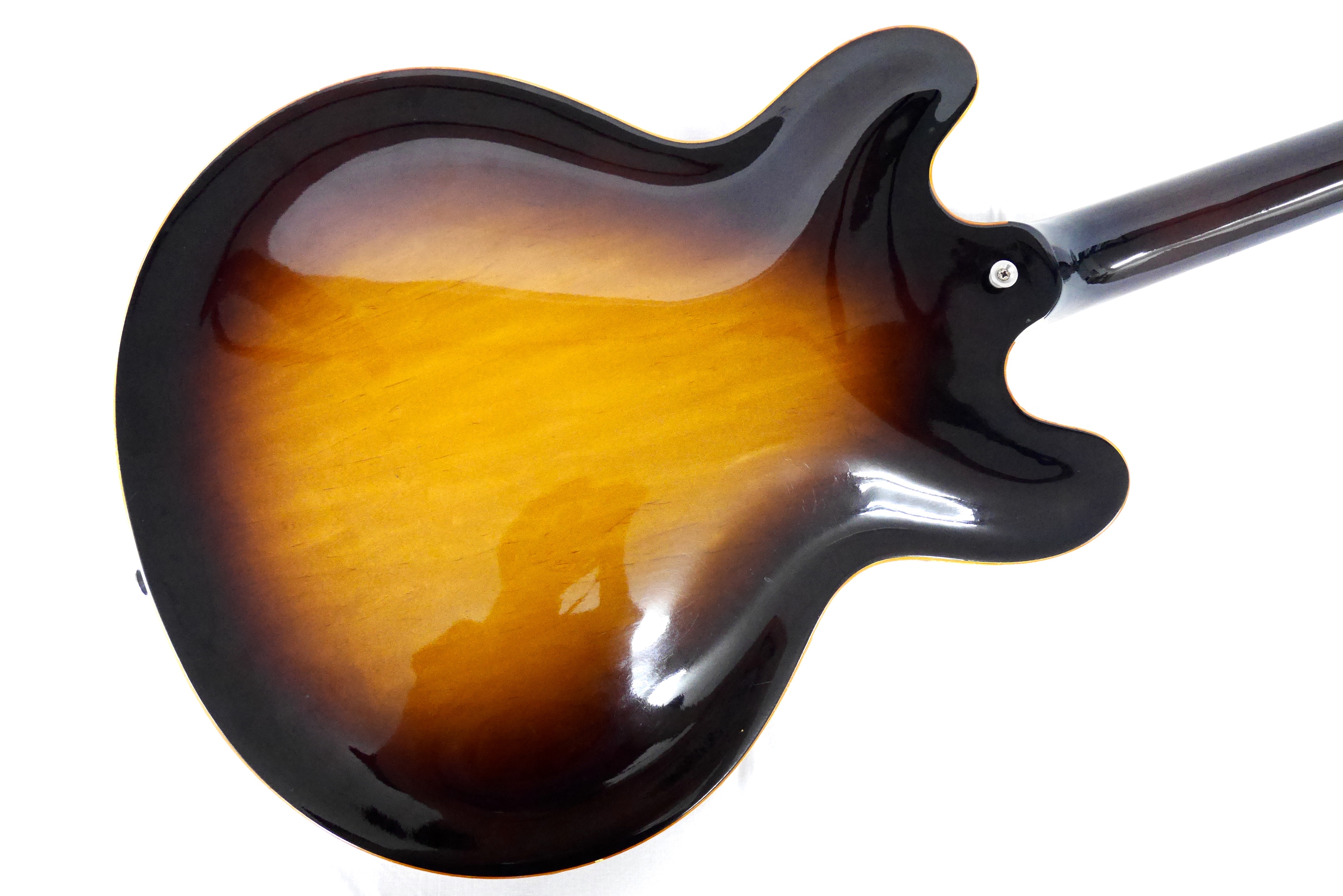 Navigator SA model with Gibson T-backer | Guitar Shop FOOLS GOLD