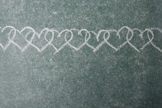 犬のptsd トラウマを抱えた犬たち 前編 Thp Nohara 犬のptsd トラウマを抱えた犬たち 前編 Thp Nohara