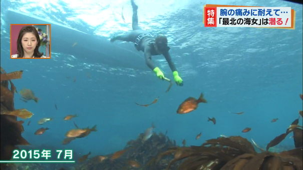 日本最北の海女 がついに引退 ケガとも闘った85歳の記録 今日ドキッ Life