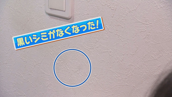 第二弾 掃除のプロが選ぶ 便利な 100円グッズ 今日ドキッ Life