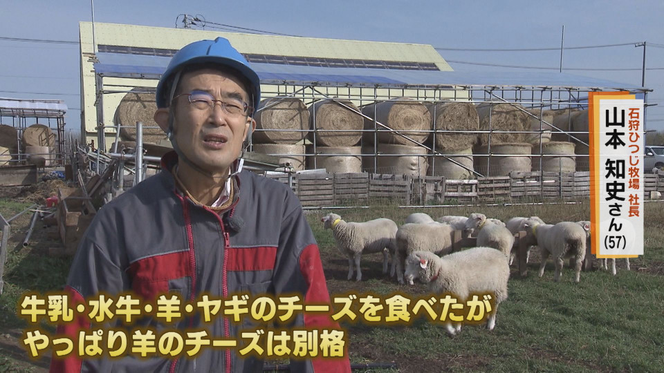 最高の羊乳チーズを求め羊飼いに 異色のチーズ職人に迫る 今日ドキッ Life