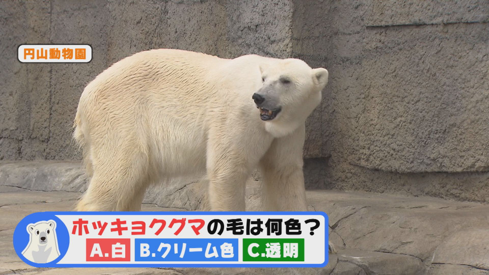 4 27 月 今日ドキッ Line Up 今日ドキッ Life