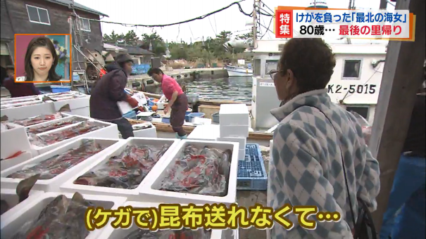 日本最北の海女 がついに引退 ケガとも闘った85歳の記録 今日ドキッ Life