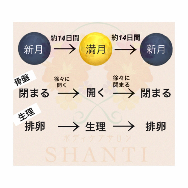 満月と生理周期の話 肩凝り専門店 ボディケアサロンshanti 滋賀県草津市 満月と生理周期の話 肩凝り専門店 ボディケアサロンshanti 滋賀県草津市