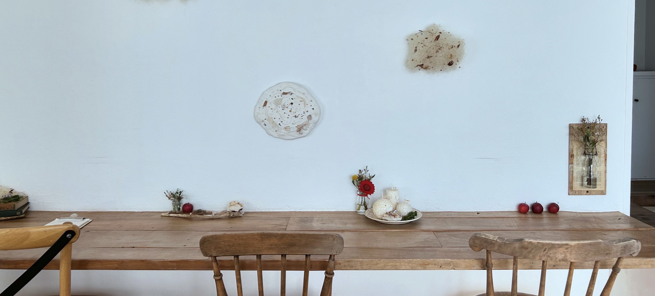 喫茶mammal