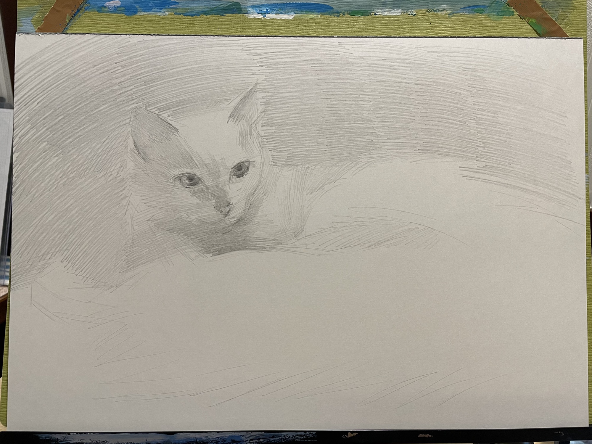 猫のデッサン 猫 鉛筆画 手描き デッサン イラスト ノルウェージャンフォレスト