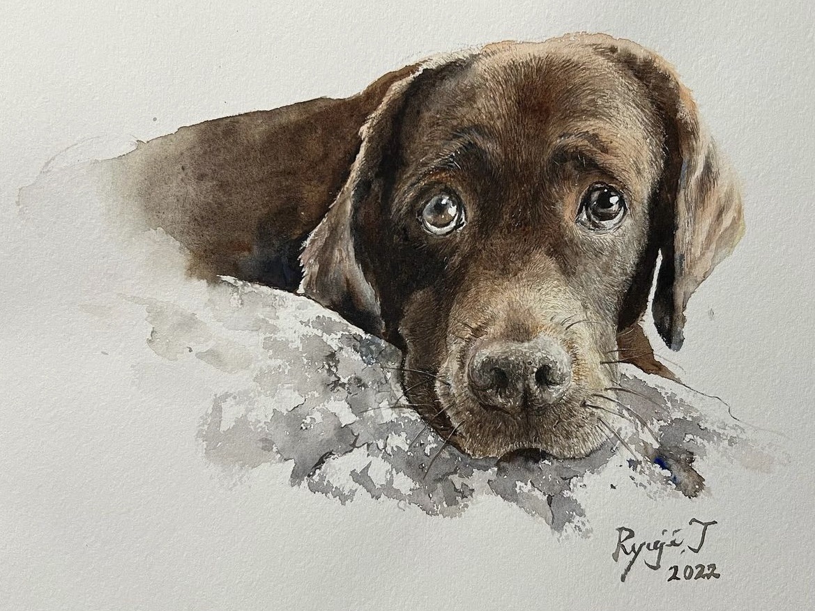 画家志望の青年が描いた　犬の水彩画 白い背景に水彩で描かれた犬 | Premium写真