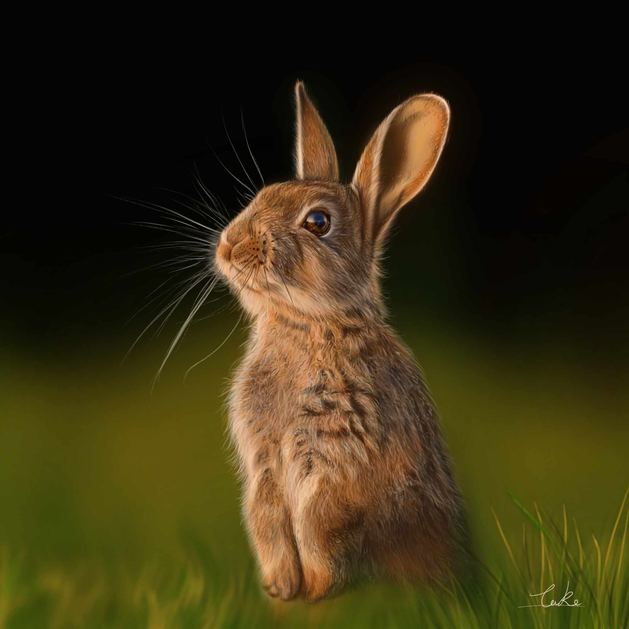 学校にありそうな絵画 八戸市立湊中学校養護学級生徒《虹の上をとぶ船総集編Ⅱ 星空を