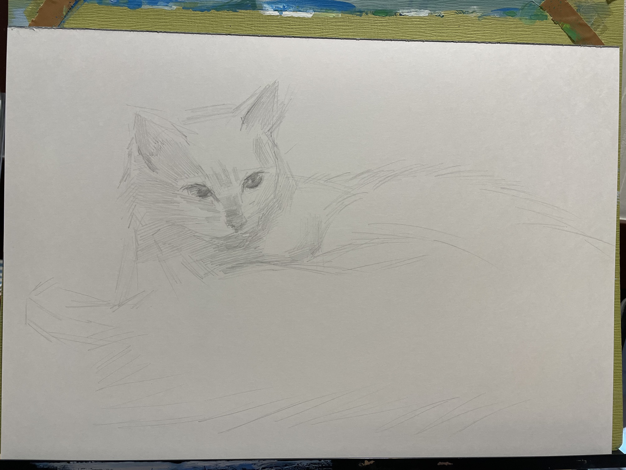 AZUMAs式デッサンで猫を描く | 大阪 絵画教室 AZUMAs (デッサン教室