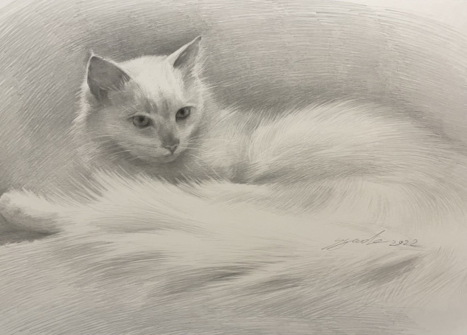 Azumas式デッサンで猫を描く 大阪 絵画教室 Azumas デッサン教室 大人絵画教室 水彩画教室 美大受験予備校 子供絵画教室