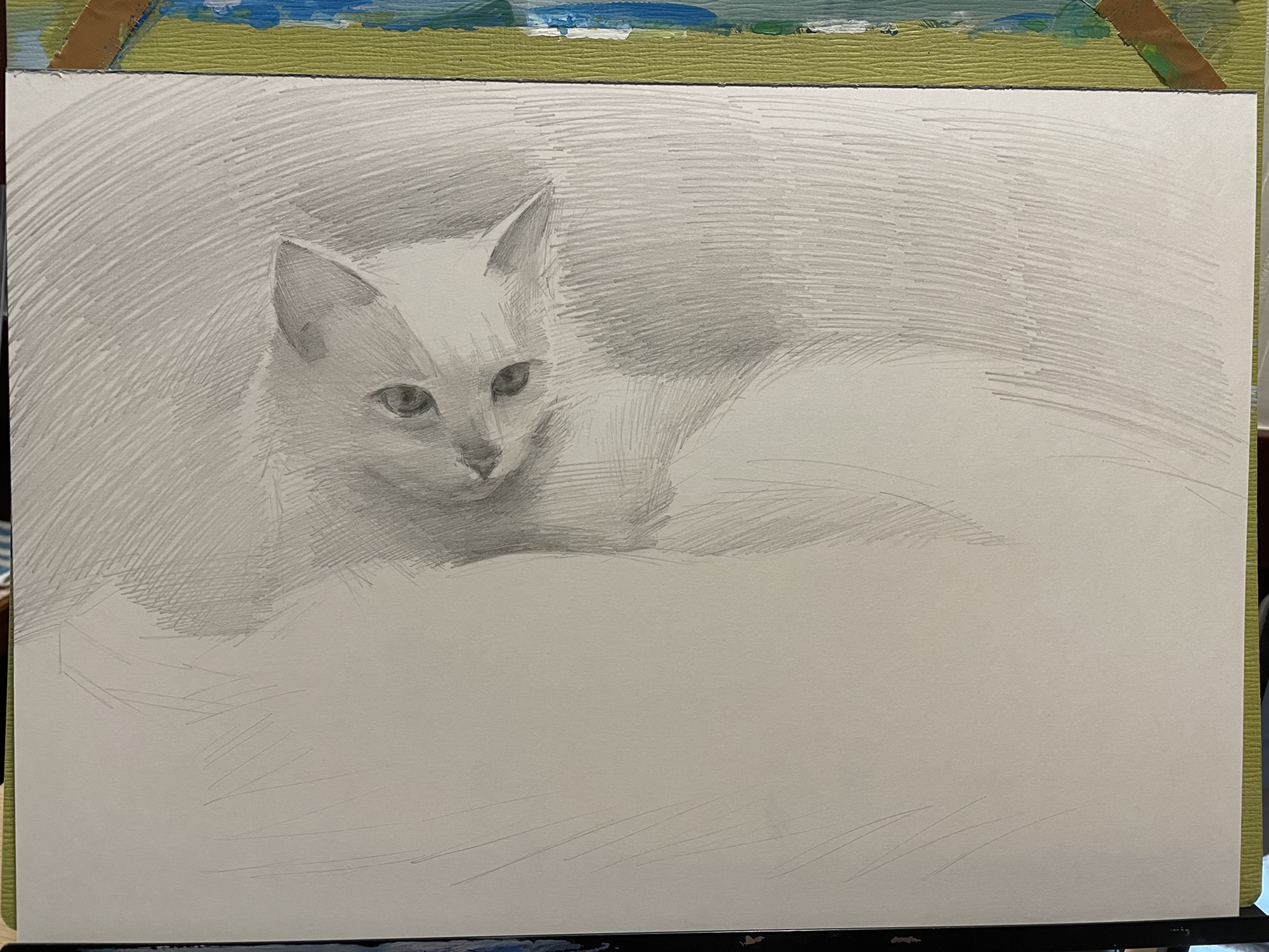 AZUMAs式デッサンで猫を描く | 大阪 絵画教室 AZUMAs (デッサン教室