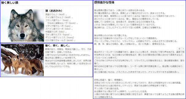 コラム 強く美しい狼 19 11 16 ウルフ村田まとめサイト コラム 強く美しい狼 19 11 16 ウルフ村田まとめサイト