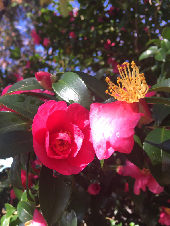 蔑む人 One Drop Of Truth