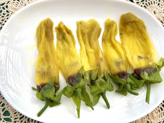 花オクラ はだし農園から頂いた食用のオクラの花 丘の上のモネの家 Mone House On The Hill