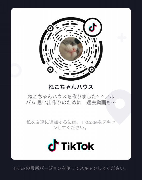 Tiktok 見てね 猫の森 Tiktok 見てね 猫の森